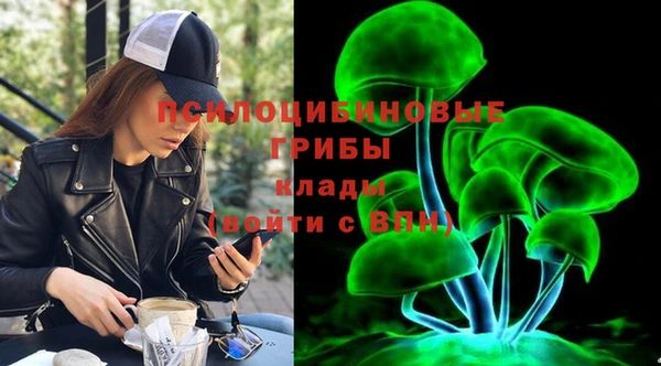 шишки Балахна