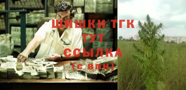 шишки Балахна