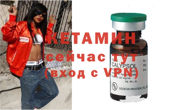 шишки Балахна