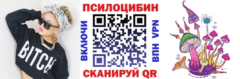KRAKEN зеркало  Баксан  Псилоцибиновые грибы Psilocybe 