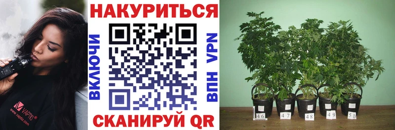 blacksprut ссылки  Баксан  Марихуана LSD WEED 